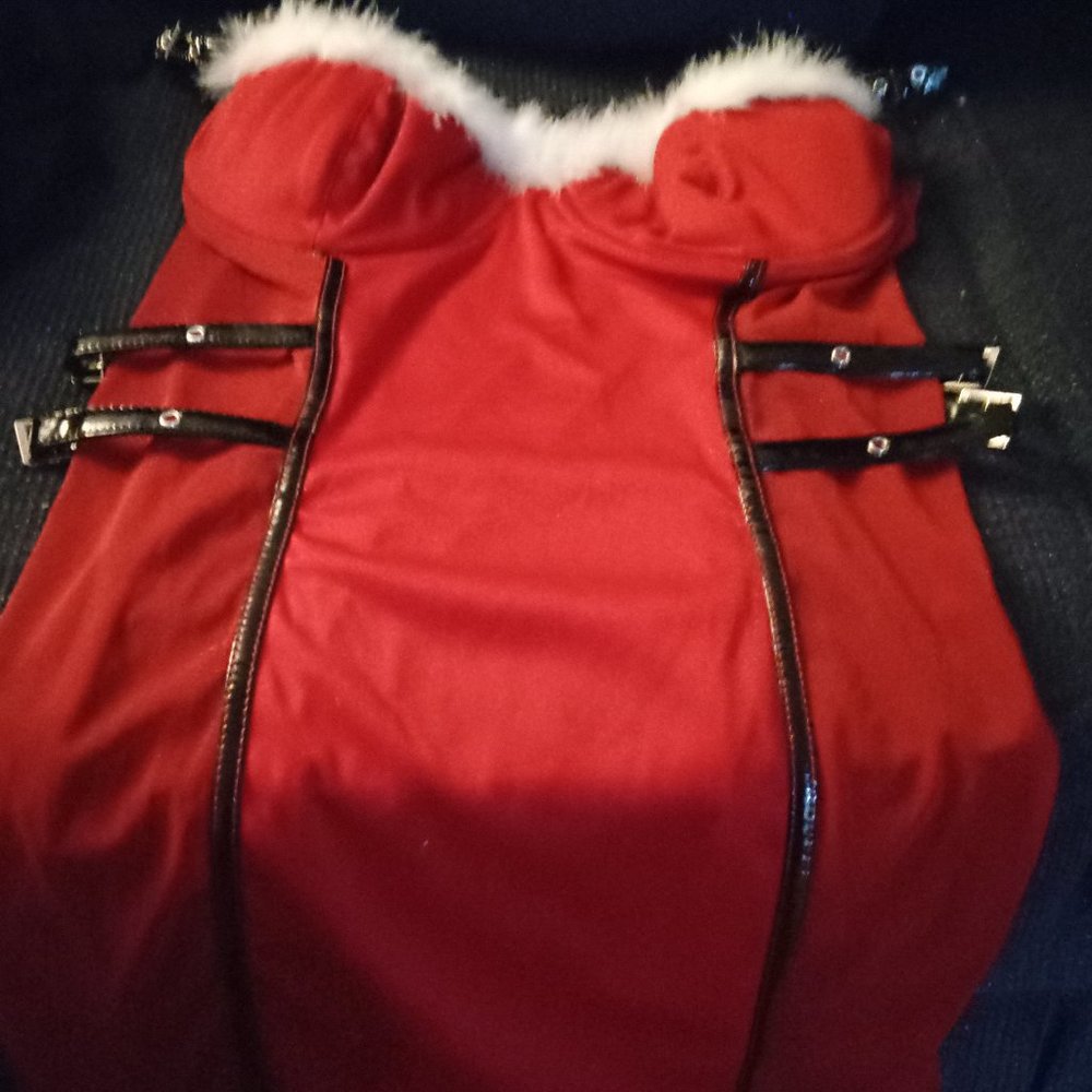 Cute woman's Santa lingerie